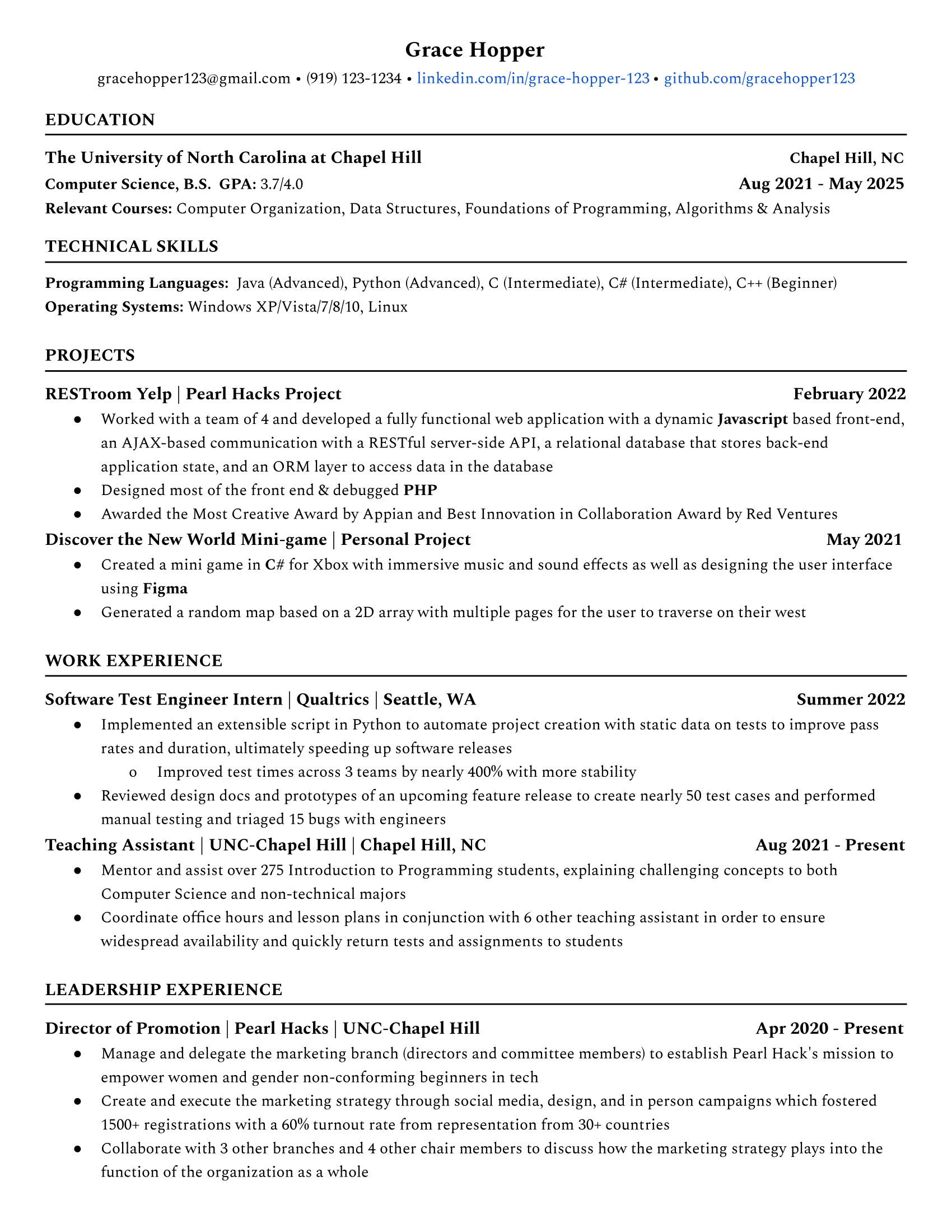 simple resume format for technical