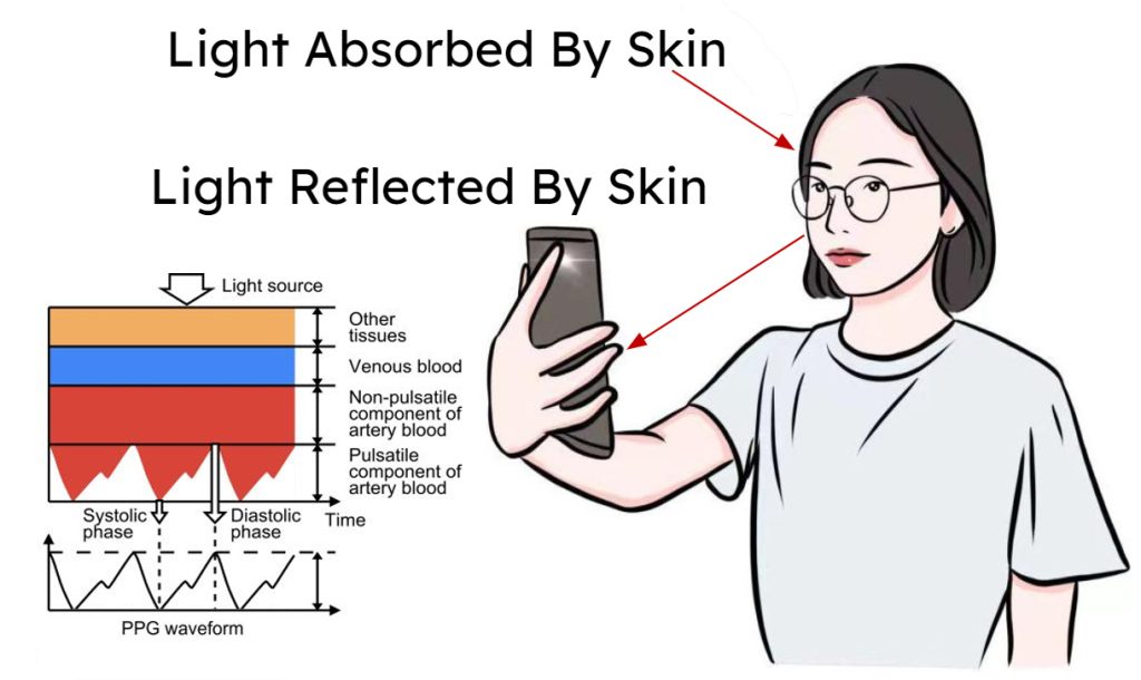 An illustration shows light not absorbed by the skin reflecting off a woman's face and being detected by a smartphone camera. A chart shows how light sources are filtered into PPG waveforms.